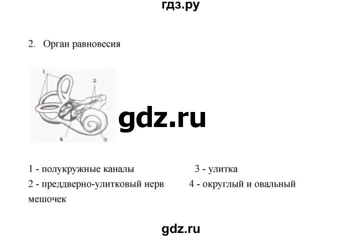 ГДЗ по биологии 8 класс  Сивоглазов рабочая тетрадь  параграф 17 (упражнение) - 2, Решебник