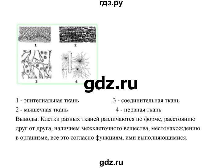 ГДЗ по биологии 8 класс  Сивоглазов рабочая тетрадь  параграф 5 (упражнение) - 3, Решебник