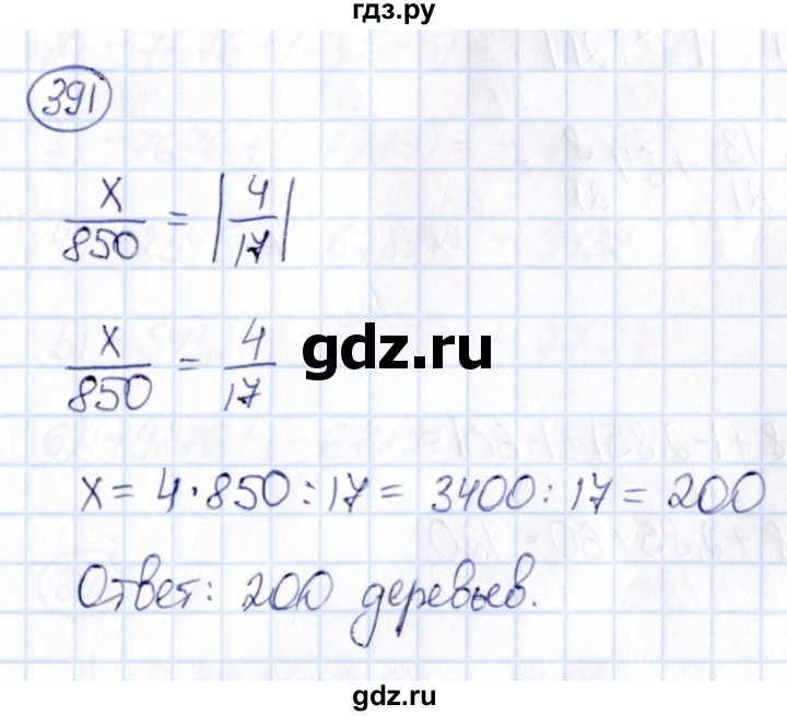 ГДЗ по математике 6 класс Абылкасымова   упражнение - 391, Решебник