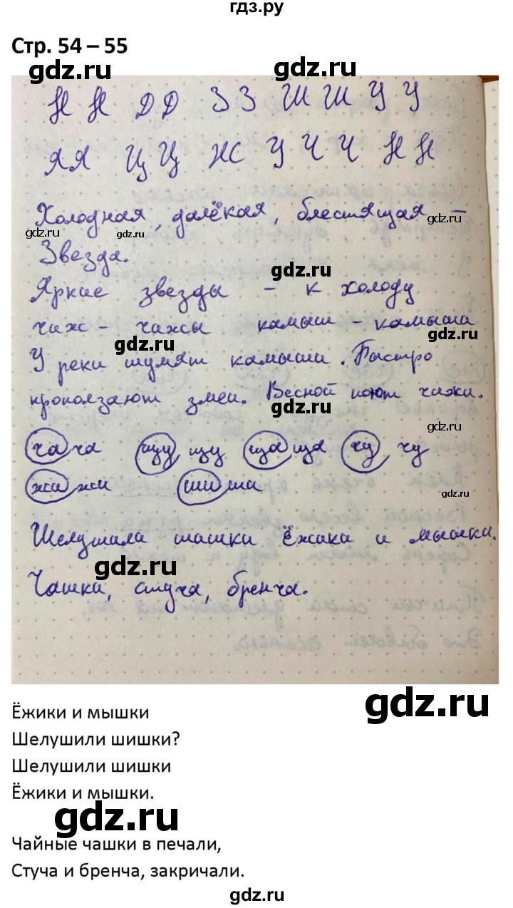 ГДЗ по русскому языку 1 класс Климанова рабочая тетрадь Пиши Красиво  страница - 54-55, Решебник №1