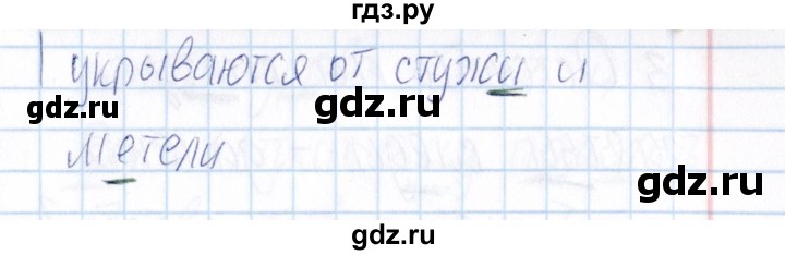 ГДЗ по русскому языку 3 класс  Голубь Тематический контроль  найди и исправь ошибки (упражнение) - 1, Решебник №1