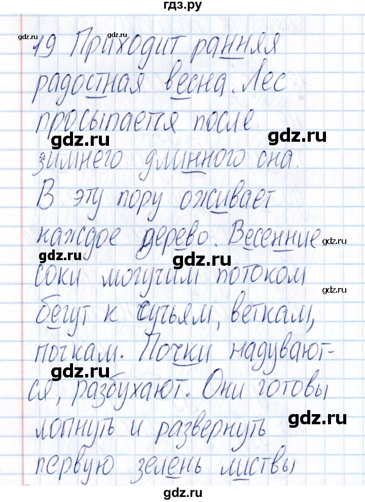 ГДЗ по русскому языку 3 класс  Голубь Тематический контроль  найди и исправь ошибки (упражнение) - 19, Решебник №1