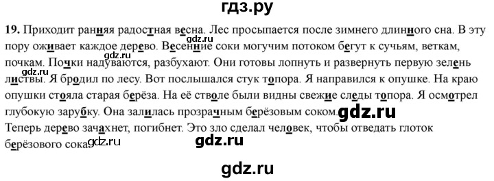 ГДЗ по русскому языку 3 класс  Голубь Тематический контроль  найди и исправь ошибки - 19, Решебник 2025