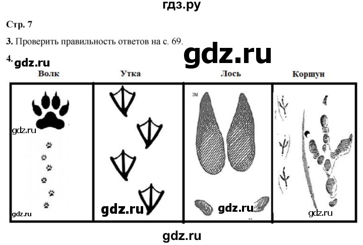 ГДЗ по окружающему миру 3 класс Ижевский рабочая тетрадь (Плешаков, Новицкая)  страница - 7, Решебник