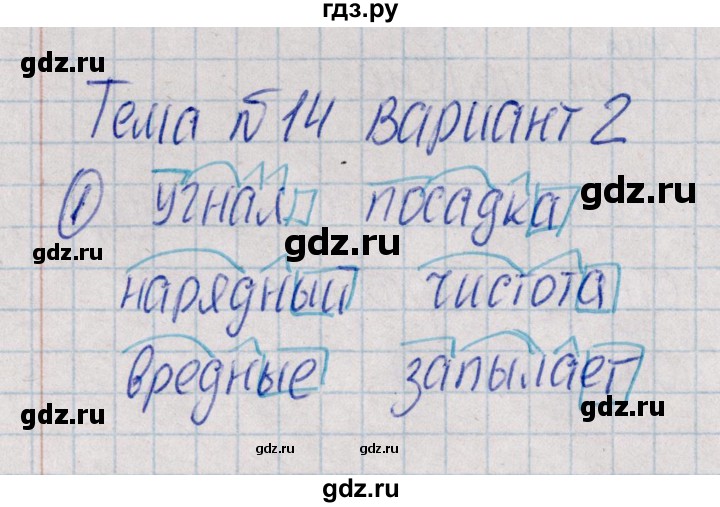 ГДЗ по русскому языку 4 класс  Голубь Тематический контроль  тема 14 (вариант) - 2, Решебник №1