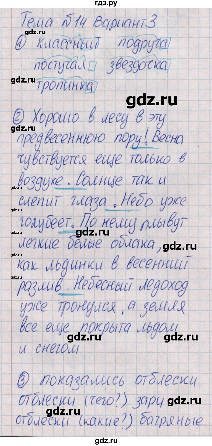 ГДЗ по русскому языку 4 класс  Голубь Тематический контроль  тема 14 (вариант) - 3, Решебник №1