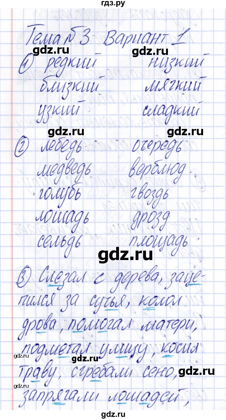 ГДЗ по русскому языку 4 класс  Голубь Тематический контроль  тема 3 (вариант) - 1, Решебник №1