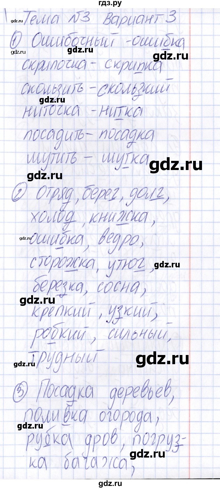 ГДЗ по русскому языку 4 класс  Голубь Тематический контроль  тема 3 (вариант) - 3, Решебник №1