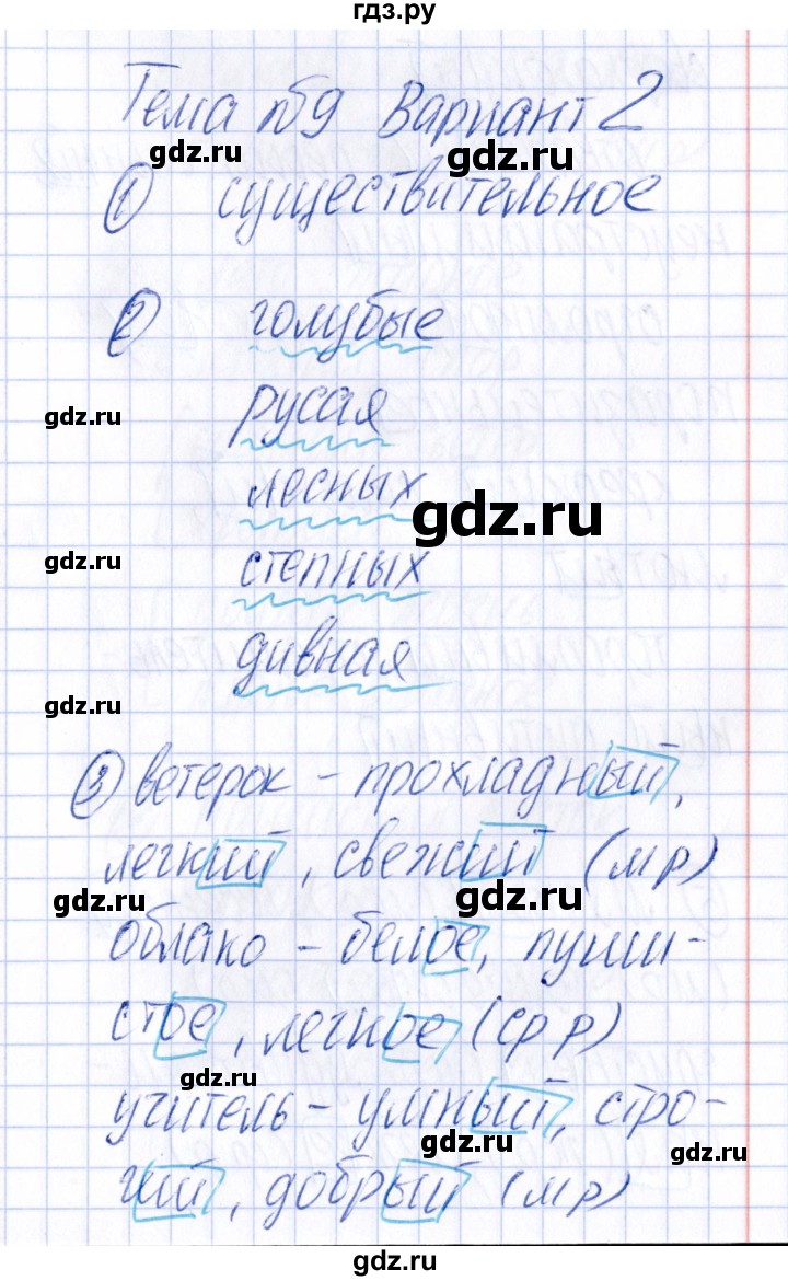 ГДЗ по русскому языку 4 класс  Голубь Тематический контроль  тема 9 (вариант) - 2, Решебник №1