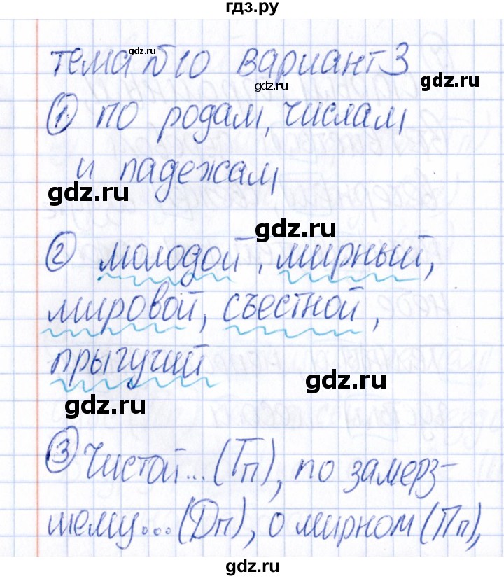 ГДЗ по русскому языку 4 класс  Голубь Тематический контроль  тема 10 (вариант) - 3, Решебник №1