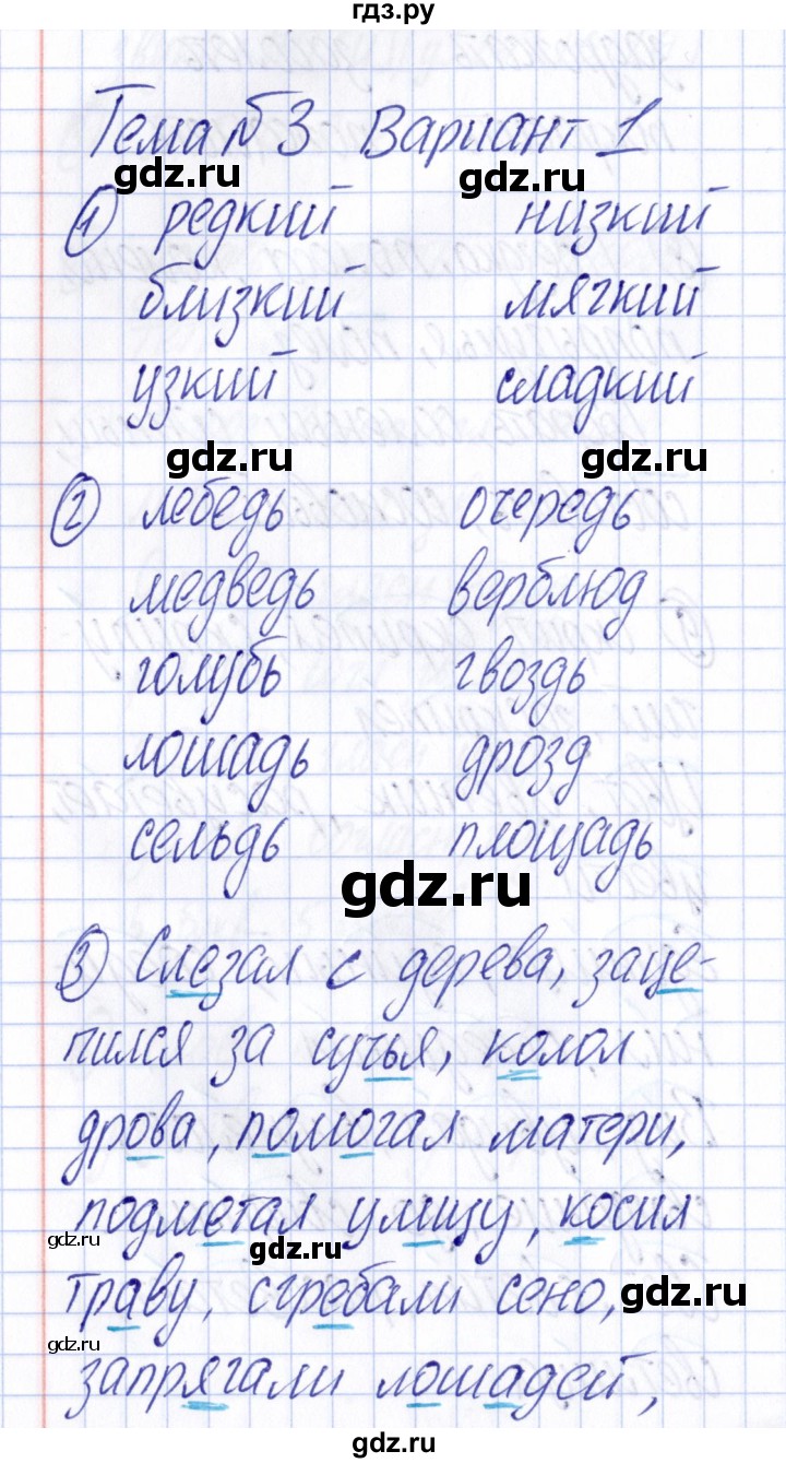 ГДЗ по русскому языку 4 класс  Голубь Тематический контроль  тема №3 - Вариант 1, Решебник №1 2019