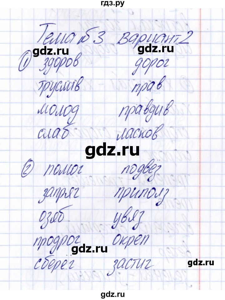 ГДЗ по русскому языку 4 класс  Голубь Тематический контроль  тема №3 - Вариант 2, Решебник №1 2019