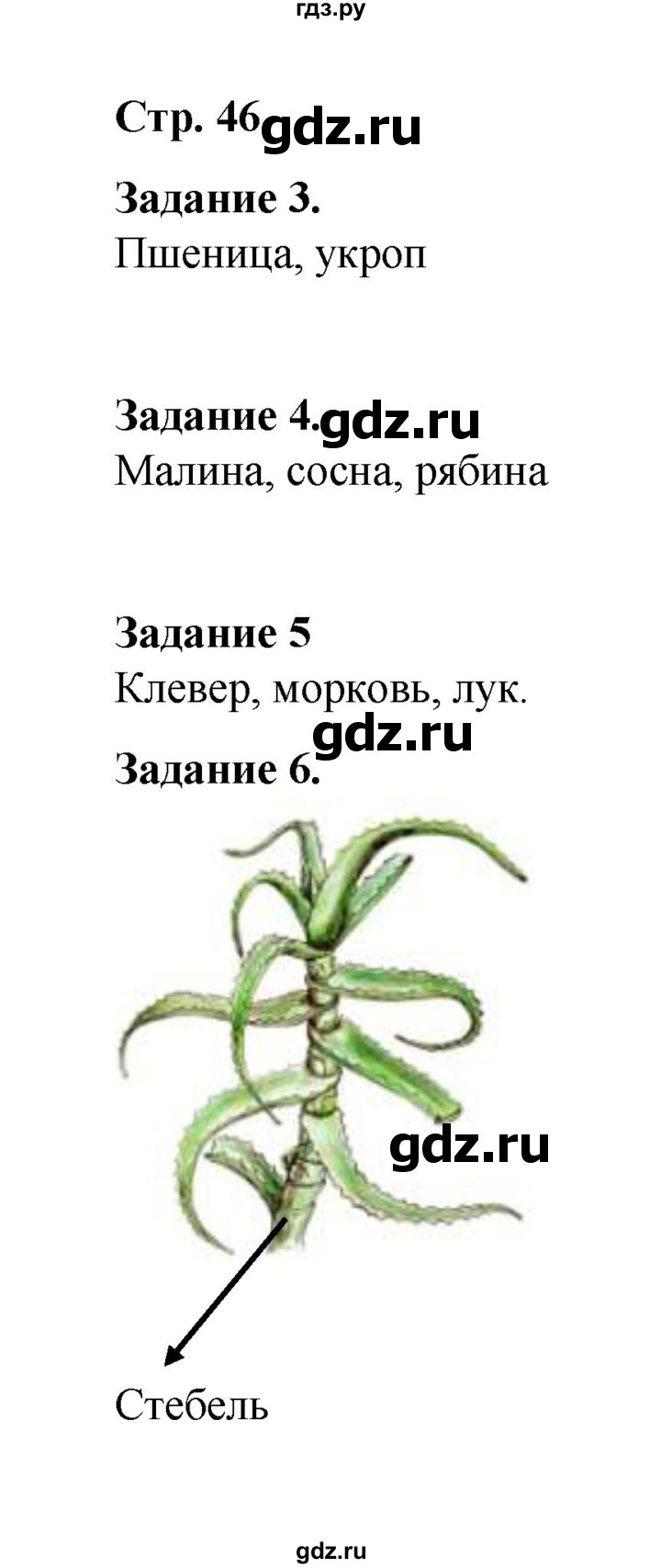 ГДЗ по окружающему миру 2 класс  Вахрушев рабочая тетрадь  часть 1 - 46, Решебник