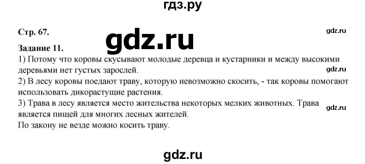 ГДЗ по окружающему миру 2 класс  Вахрушев рабочая тетрадь  часть 1 - 67, Решебник