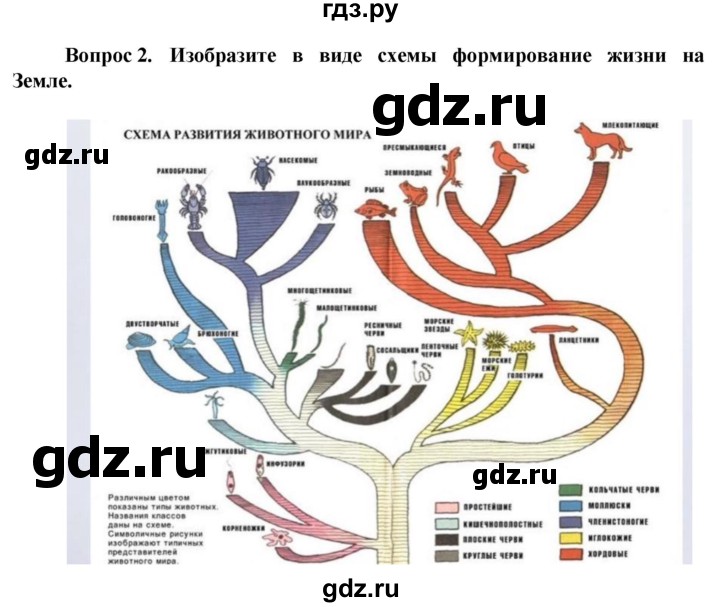 ГДЗ по биологии 10 класс Асанов   страница - 207, Решебник