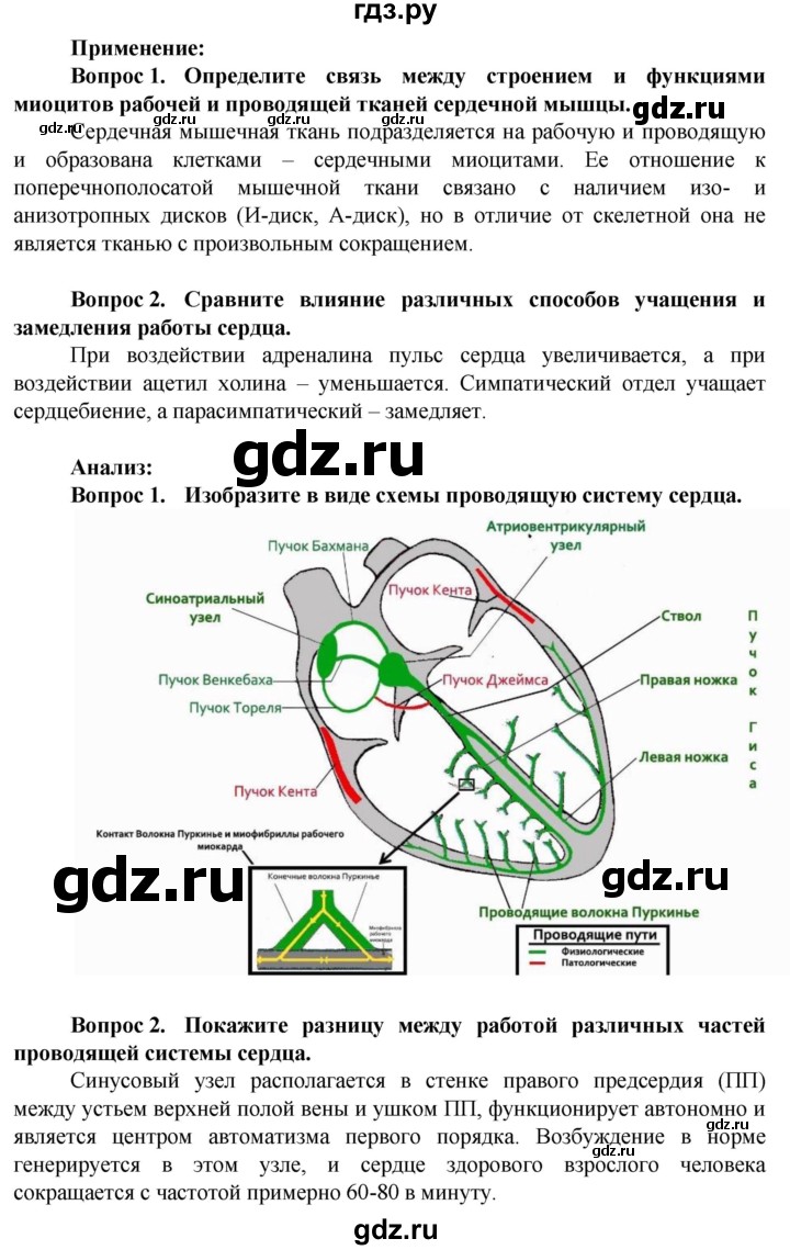 ГДЗ страница 249 биология 10 класс Асанов, Соловьева