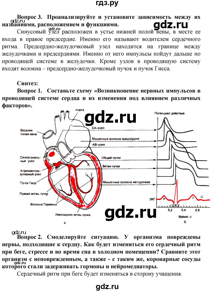 ГДЗ по биологии 10 класс Асанов   страница - 249, Решебник