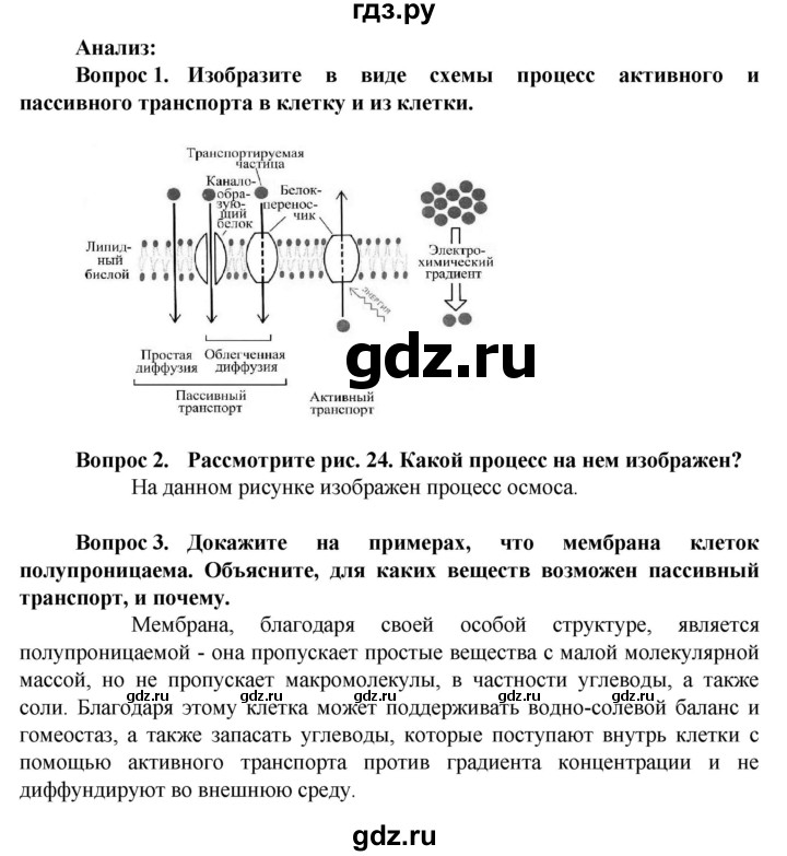 ГДЗ по биологии 10 класс Асанов   страница - 75, Решебник