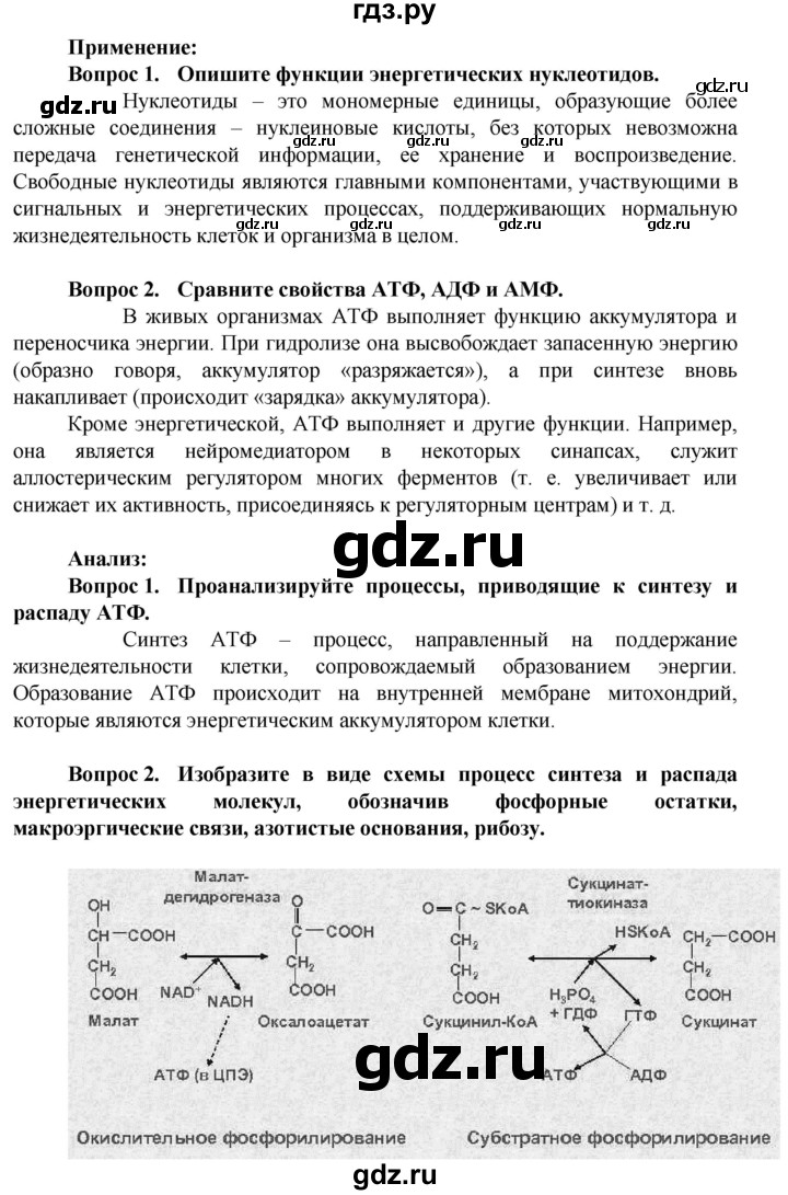 ГДЗ по биологии 10 класс Асанов   страница - 78, Решебник