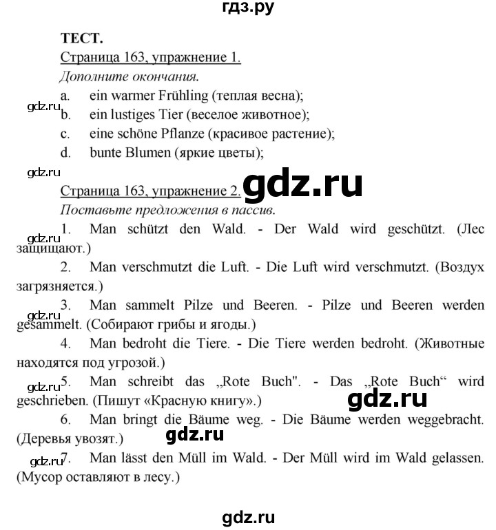 ГДЗ по немецкому языку 5 класс Яковлева  Углубленный уровень страница - 163, Решебник