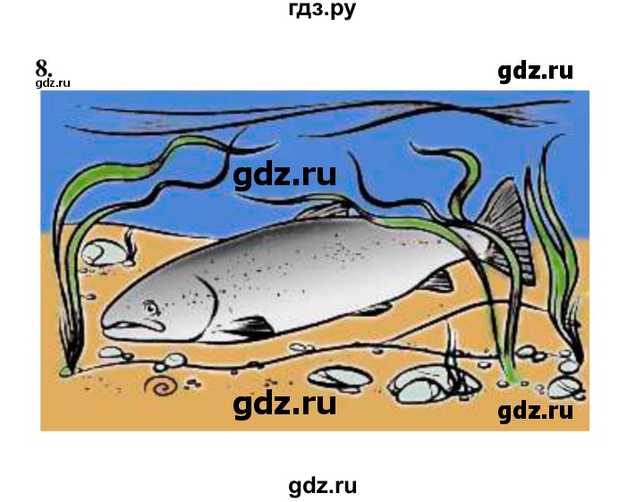 ГДЗ по литературе 2 класс Крылова работа с текстом  вариант - 24, Решебник 2023