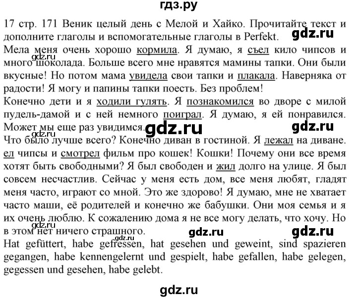 ГДЗ по немецкому языку 6 класс Радченко  Углубленный уровень страница - 171, Решебник №2 к учебнику Wunderkinder