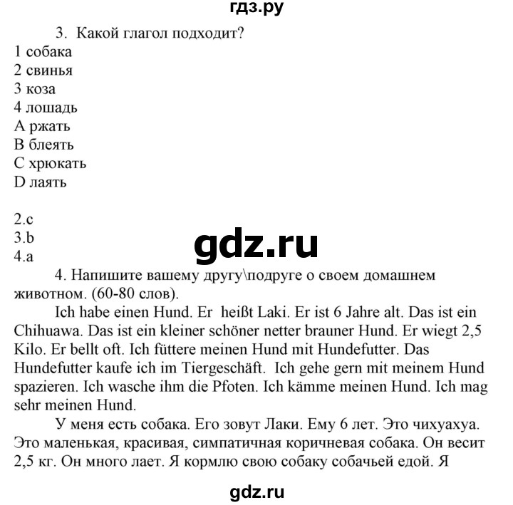 ГДЗ по немецкому языку 6 класс Радченко Wunderkinder Plus Базовый и углубленный уровень страница - 174, Решебник №2 к учебнику Wunderkinder