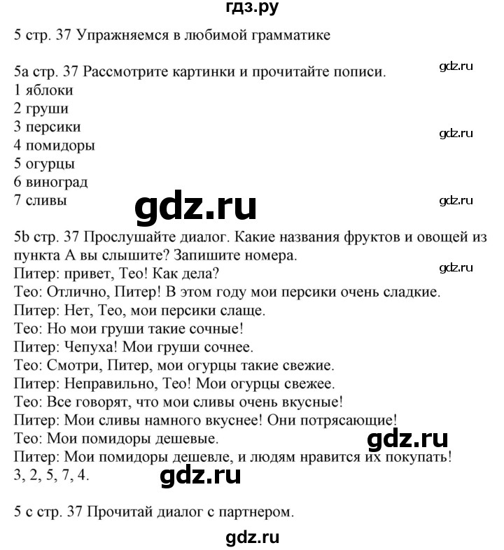 ГДЗ по немецкому языку 6 класс Радченко Wunderkinder Plus Базовый и углубленный уровень страница - 37, Решебник №2 к учебнику Wunderkinder