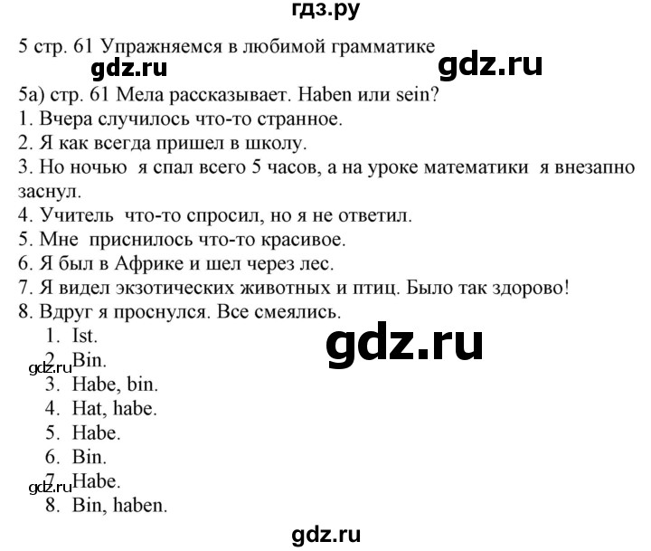 ГДЗ по немецкому языку 6 класс Радченко Wunderkinder Plus Базовый и углубленный уровень страница - 61, Решебник №2 к учебнику Wunderkinder