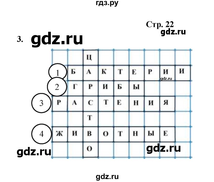 ГДЗ по окружающему миру 3 класс  Казанцева летние задания (переходим в 4 класс)  страница - 22, Решебник