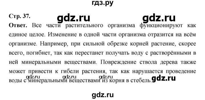 ГДЗ по биологии 6 класс  Пасечник  Базовый уровень страница - 37, Решебник