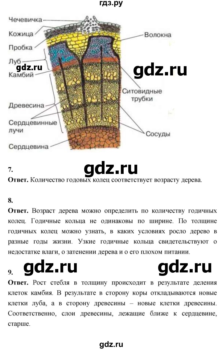 ГДЗ страница 60 биология 6 класс Пасечник, Суматохин