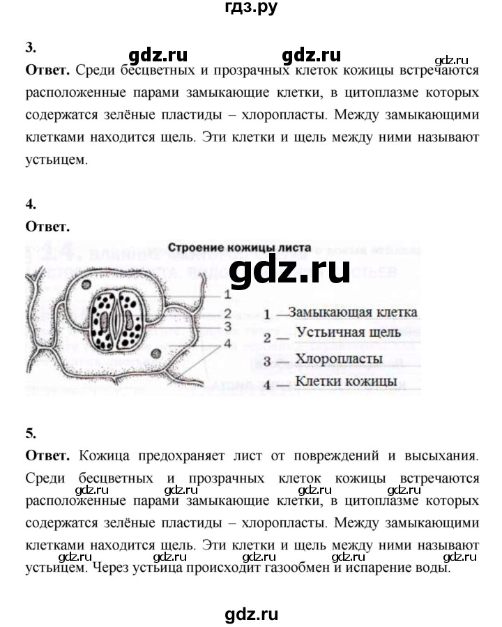 ГДЗ по биологии 6 класс  Пасечник  Базовый уровень страница - 67, Решебник