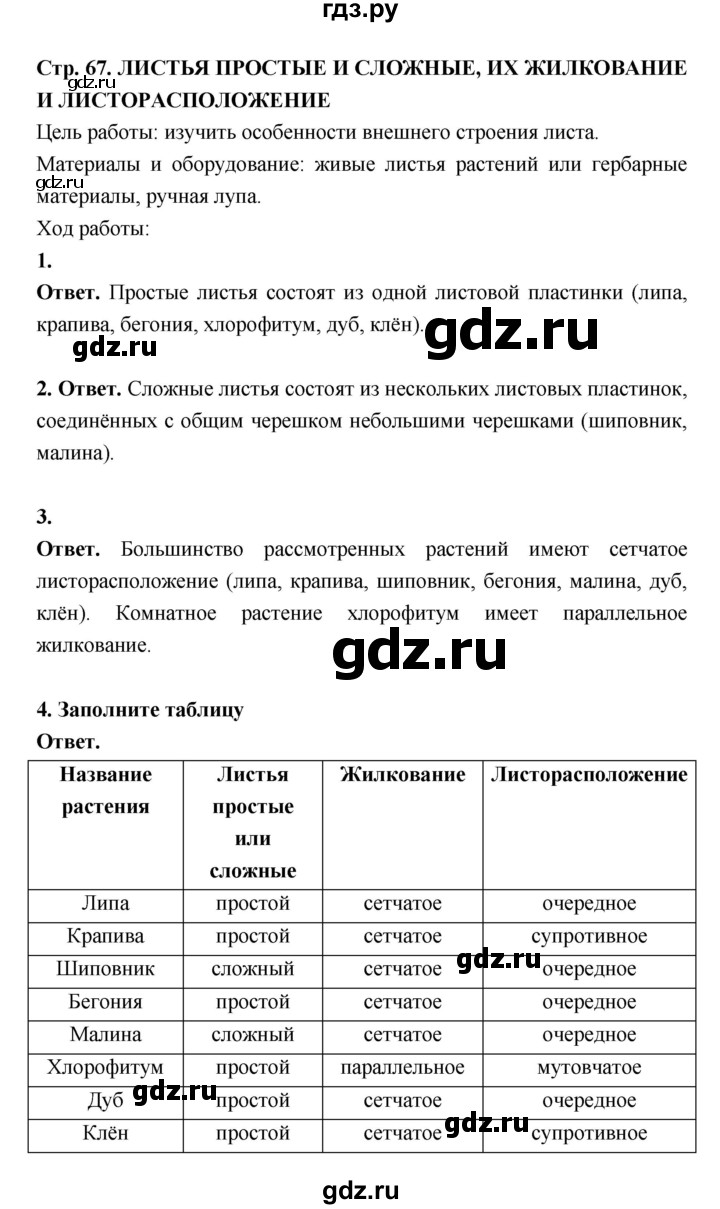 ГДЗ по биологии 6 класс  Пасечник  Базовый уровень страница - 67, Решебник