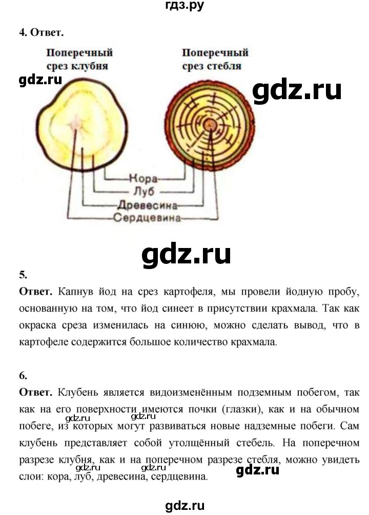 ГДЗ по биологии 6 класс  Пасечник  Базовый уровень страница - 73, Решебник