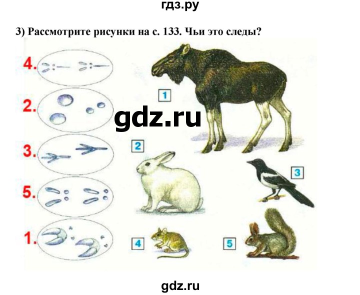 ГДЗ по окружающему миру 1‐2 класс Плешаков первый год обучения  часть 2. страница - 56, Решебник