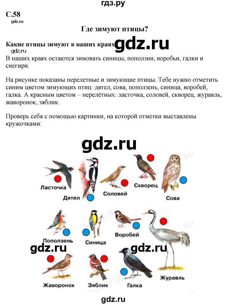 ГДЗ по окружающему миру 1‐2 класс Плешаков первый год обучения  часть 2. страница - 58, Решебник