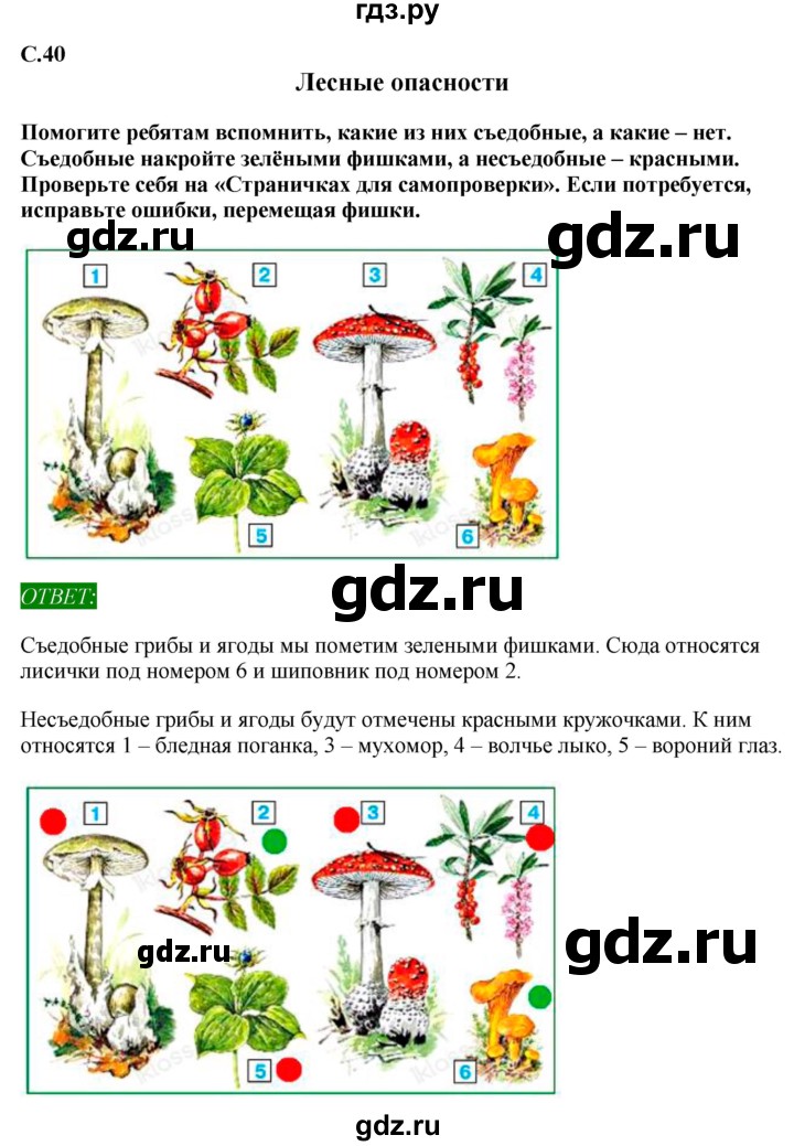ГДЗ по окружающему миру 1‐2 класс Плешаков первый год обучения  часть 3. страница - 40, Решебник