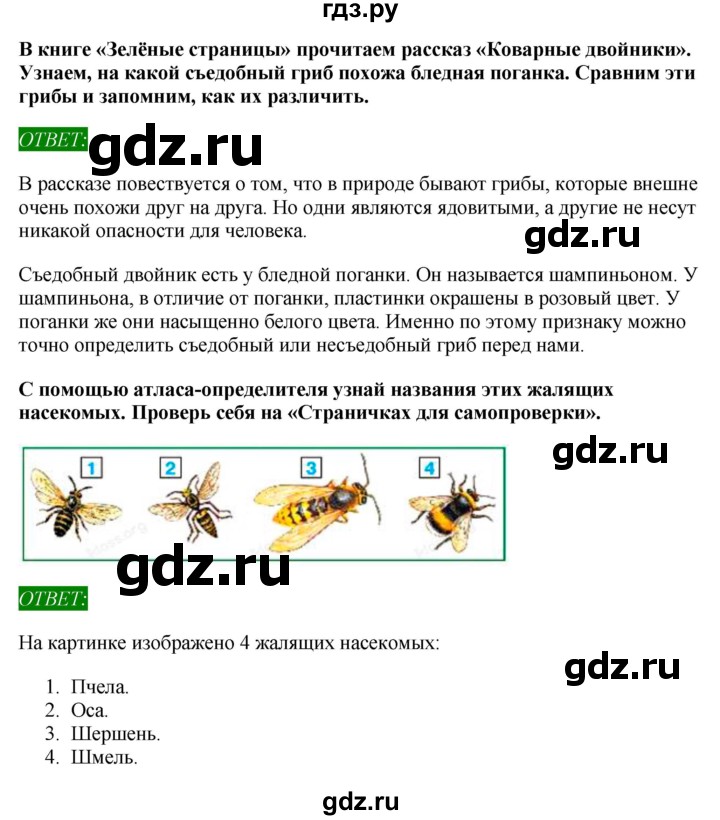 ГДЗ по окружающему миру 1‐2 класс Плешаков первый год обучения  часть 3. страница - 40, Решебник