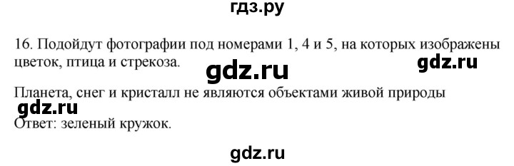 ГДЗ по окружающему миру 1‐2 класс Плешаков первый год обучения  часть 3. страница - 93, Решебник