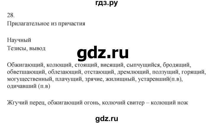 ГДЗ по русскому языку 7 класс Бондаренко рабочая тетрадь (Баранов)  часть 1. упражнение - 28, Решебник