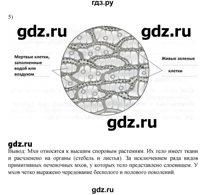 ГДЗ по биологии 7 класс Пасечник  Базовый уровень §6 - стр. 32, Решебник