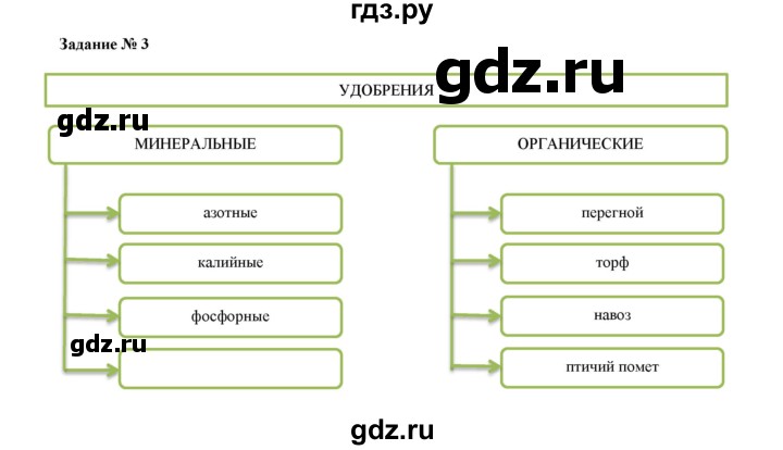 ГДЗ по биологии 6 класс  Пасечник рабочая тетрадь Базовый уровень параграфы - 18, Решебник