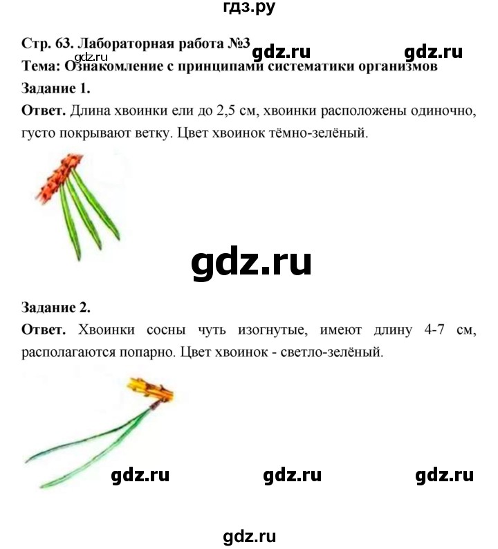 ГДЗ по биологии 5 класс  Пономарева  Базовый уровень параграф 12 (страница) - 63, Решебник