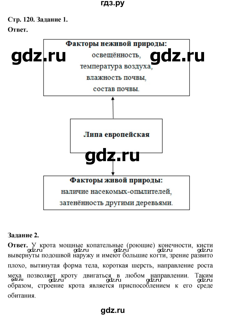 ГДЗ по биологии 5 класс  Пономарева  Базовый уровень параграф 21 (страница) - 120, Решебник