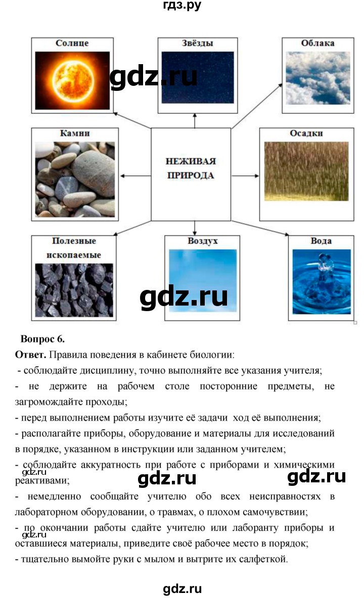 ГДЗ по биологии 5 класс  Пономарева  Базовый уровень параграф 4 (страница) - 22, Решебник