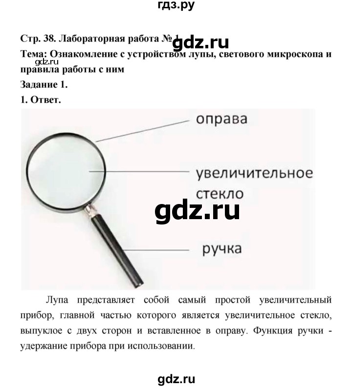 ГДЗ по биологии 5 класс  Пономарева  Базовый уровень параграф 7 (страница) - 38, Решебник