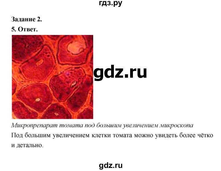 ГДЗ по биологии 5 класс  Пономарева  Базовый уровень параграф 7 (страница) - 38, Решебник