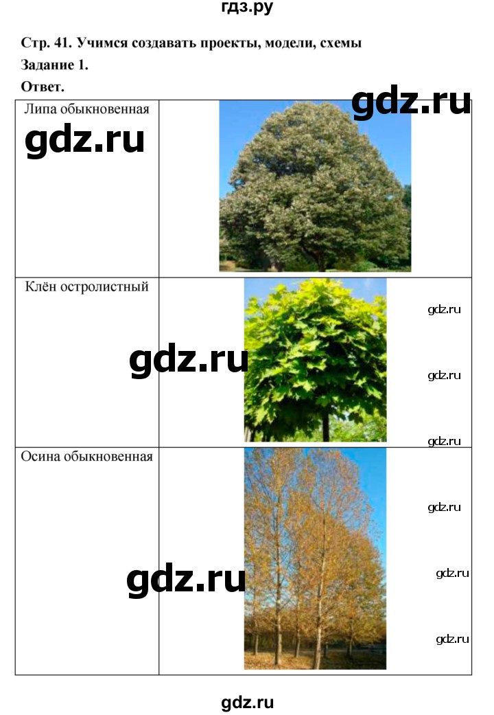 ГДЗ по биологии 5 класс  Пономарева  Базовый уровень параграф 7 (страница) - 41, Решебник
