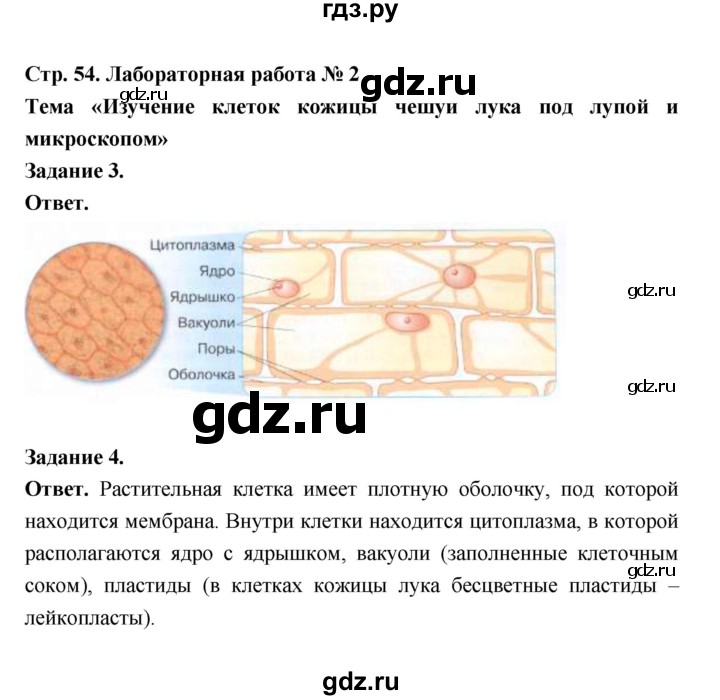 ГДЗ по биологии 5 класс  Пономарева  Базовый уровень параграф 10 (страница) - 54, Решебник
